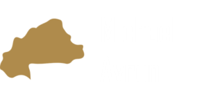 Michael Avron - Guitares burkinabès